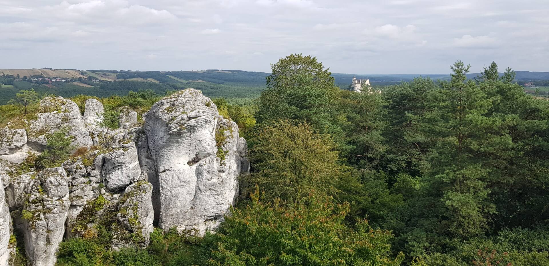 Kalksandsteinfelsen in Ogrodzieniec - Wander-Passion