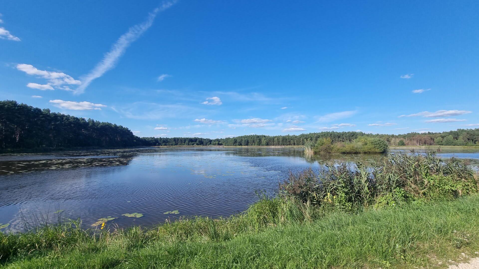 Blick auf den See Posmyk in Lubliniec - Wander-Passion