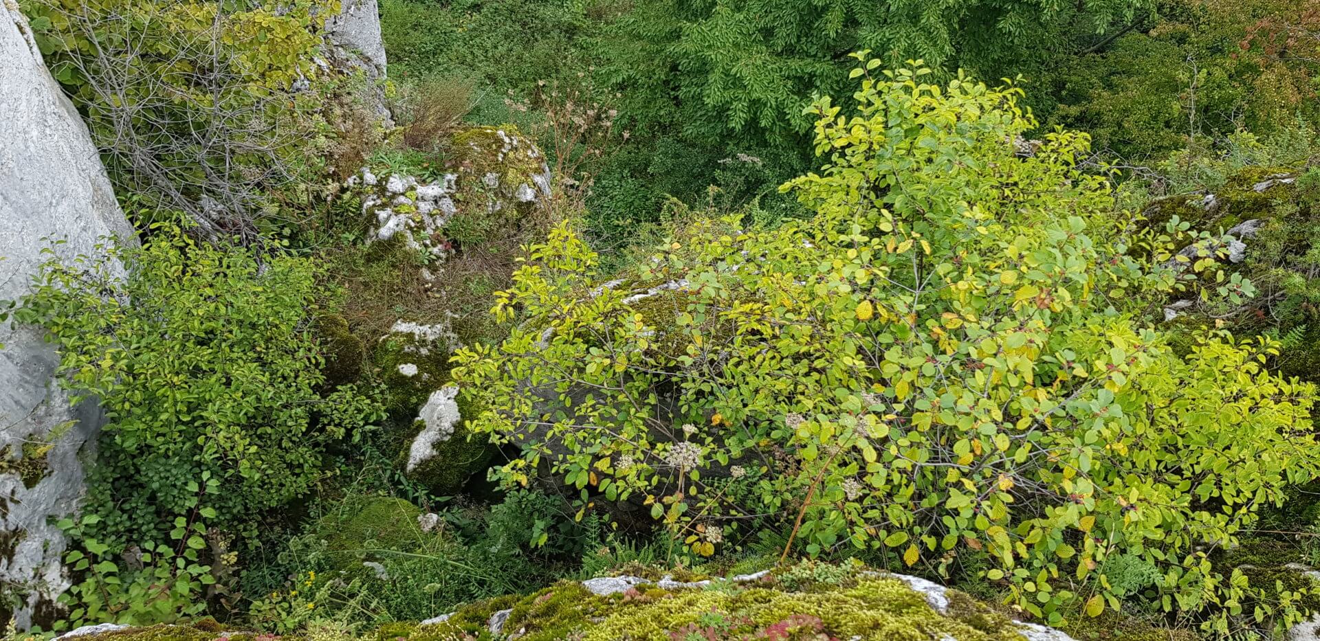 Ein Blikck hinab eines Felsen in Mirow