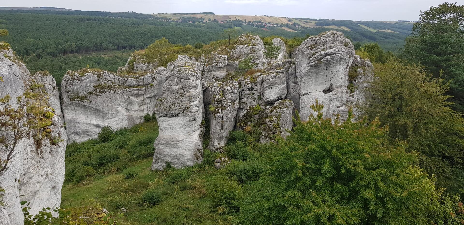 Kalksandsteinfelsen in der Nähe des Schloss Mirow in Polen